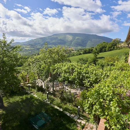 Paradiso5, 6 Min Da Assisi *