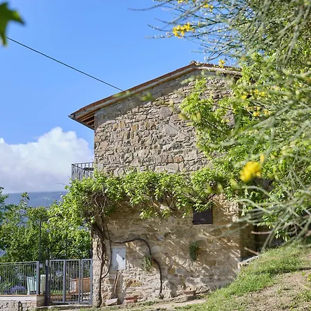 Paradiso5, 6 Min Da Assisi