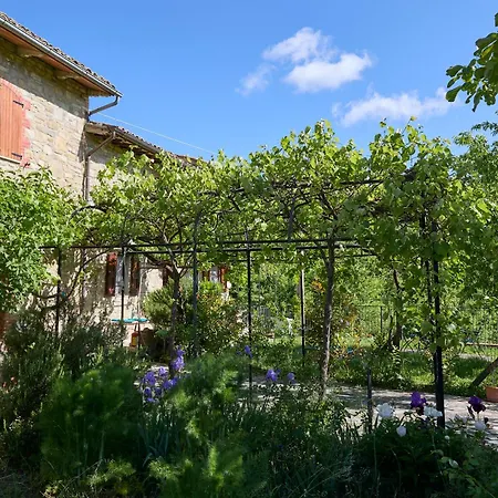 Paradiso5, 6 Min Da Assisi Piano Delle Pieve